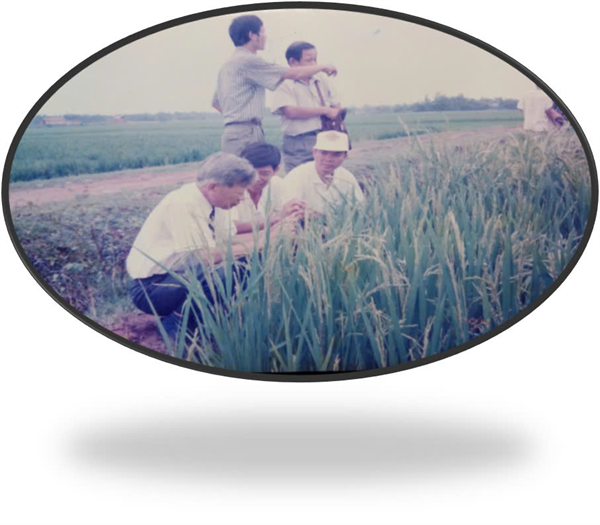 Hành trình 79 năm ngành Trồng trọt Việt Nam: Tự hào quá khứ - Vững bước tương lai