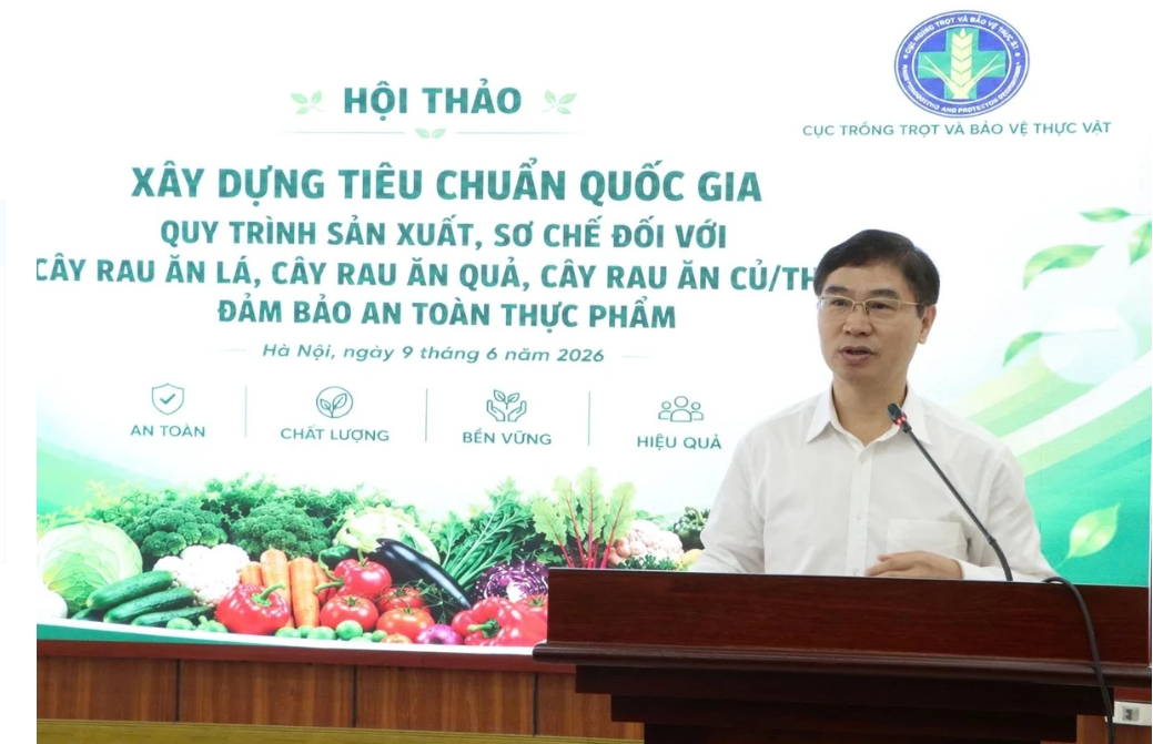 Hội thảo lấy ý kiến góp ý dự thảo Tiêu chuẩn quốc gia (TCVN) “Quy trình sản xuất, sơ chế rau bảo đảm an toàn thực phẩm”