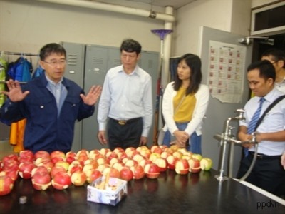 Chuyến thăm và làm việc của Đoàn công tác Cục Bảo vệ thực vật tại Nhật Bản