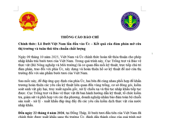 Chính thức: Lô Bưởi Việt Nam lần đầu vào Úc – Kết quả của đàm phán mở cửa thị trường và tuân thủ tiêu chuẩn chất lượng