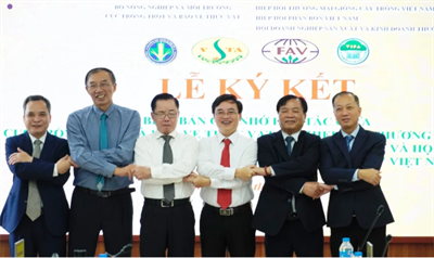 Cục Trồng trọt và Bảo vệ thực vật hợp tác với 3 hiệp hội, phát triển thị trường vật tư nông nghiệp minh bạch