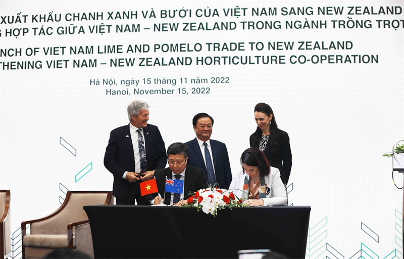 Chanh, bưởi của Việt Nam chính thức được xuất khẩu sang New Zealand